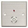 Кнопка виходу Yli Electronic YKS-850LS із ключем